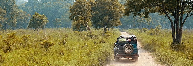 Take a Wildlife Safari in Ranthambore