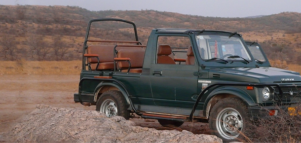 Sariska Gypsy Safari